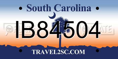 IB84504 South Carolina License Plate