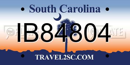 IB84804 South Carolina License Plate
