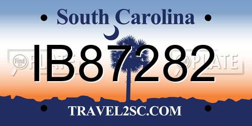 IB87282 South Carolina License Plate