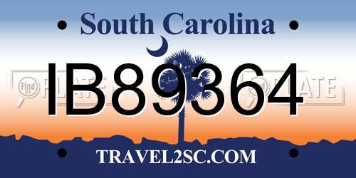 IB89364 South Carolina License Plate