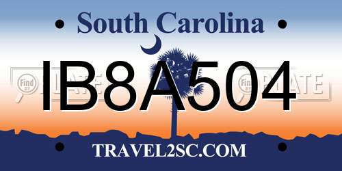 IB8A504 South Carolina License Plate