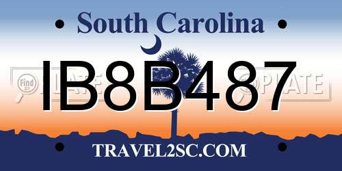 IB8B487 South Carolina License Plate