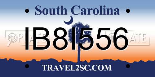 IB8I556 South Carolina License Plate