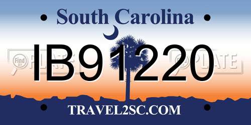 IB91220 South Carolina License Plate