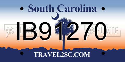 IB91270 South Carolina License Plate