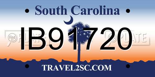 IB91720 South Carolina License Plate