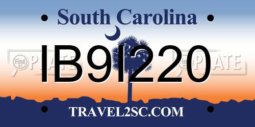 IB9I220 South Carolina License Plate