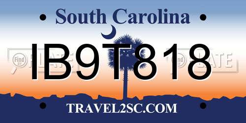 IB9T818 South Carolina License Plate