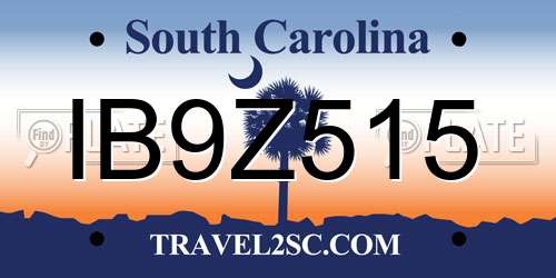 IB9Z515 South Carolina License Plate