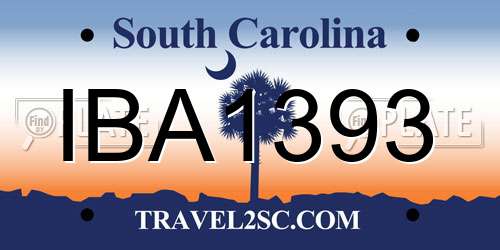 IBA1393 South Carolina License Plate