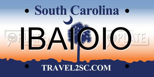 IBAIOIO South Carolina License Plate
