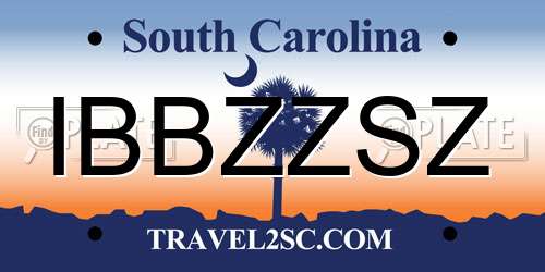 IBBZZSZ South Carolina License Plate
