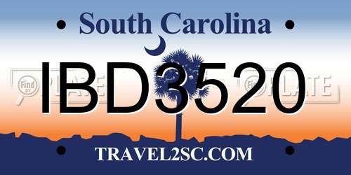 IBD3520 South Carolina License Plate