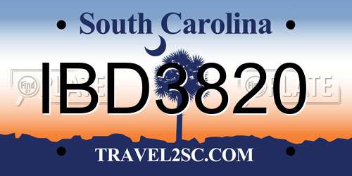 IBD3820 South Carolina License Plate