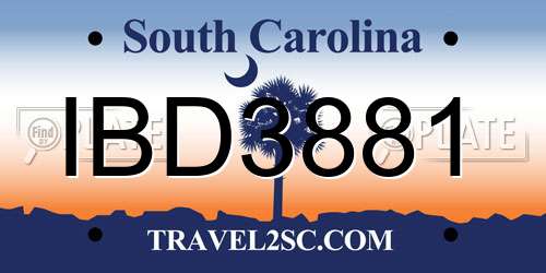 IBD3881 South Carolina License Plate