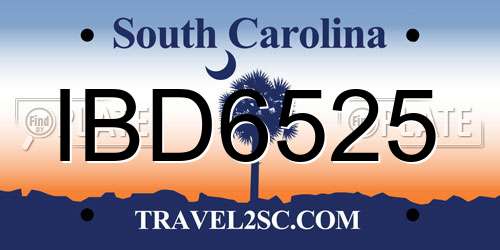 IBD6525 South Carolina License Plate