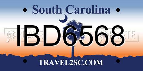 IBD6568 South Carolina License Plate