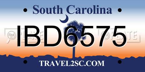 IBD6575 South Carolina License Plate