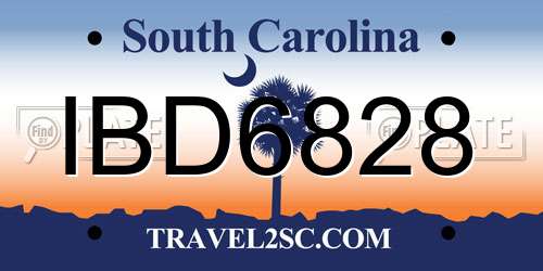 IBD6828 South Carolina License Plate