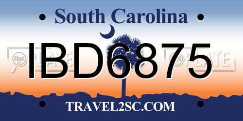 IBD6875 South Carolina License Plate
