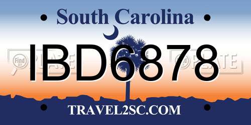 IBD6878 South Carolina License Plate
