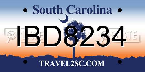 IBD8234 South Carolina License Plate