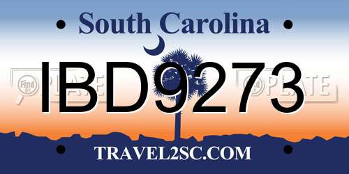 IBD9273 South Carolina License Plate