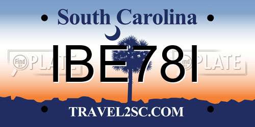 IBE78I South Carolina License Plate