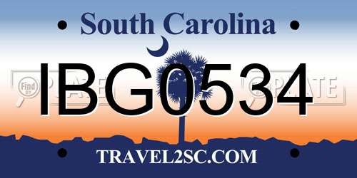IBG0534 South Carolina License Plate