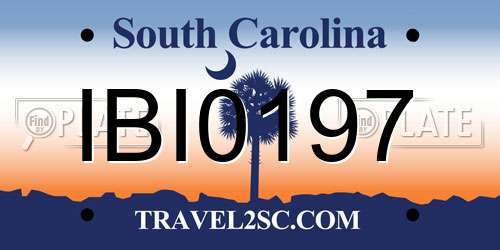 IBI0197 South Carolina License Plate