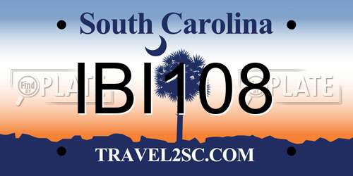 IBI108 South Carolina License Plate