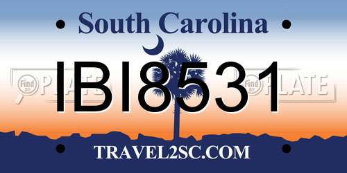 IBI8531 South Carolina License Plate
