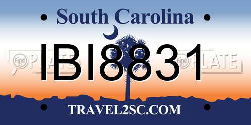 IBI8831 South Carolina License Plate