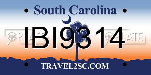 IBI9314 South Carolina License Plate