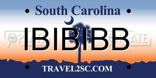 IBIBIBB South Carolina License Plate