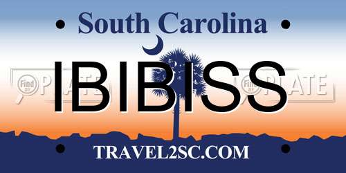 IBIBISS South Carolina License Plate