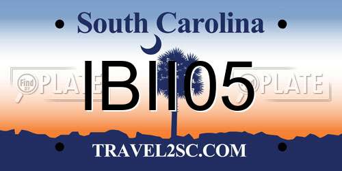 IBII05 South Carolina License Plate