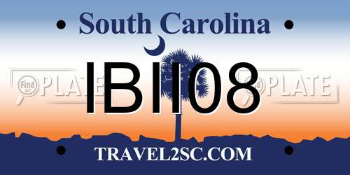 IBII08 South Carolina License Plate