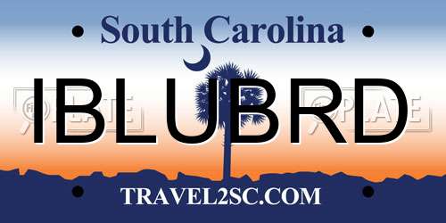 IBLUBRD South Carolina License Plate