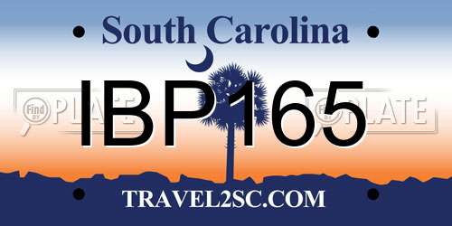 IBP165 South Carolina License Plate