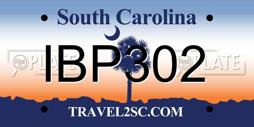 IBP302 South Carolina License Plate
