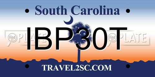 IBP30T South Carolina License Plate