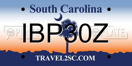IBP30Z South Carolina License Plate