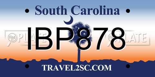 IBP878 South Carolina License Plate