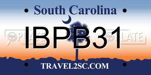 IBPB31 South Carolina License Plate