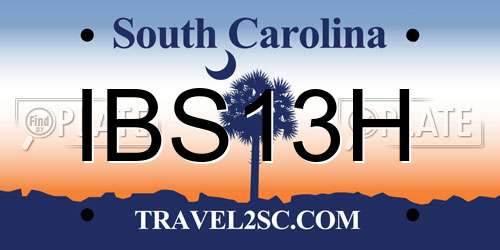 IBS13H South Carolina License Plate