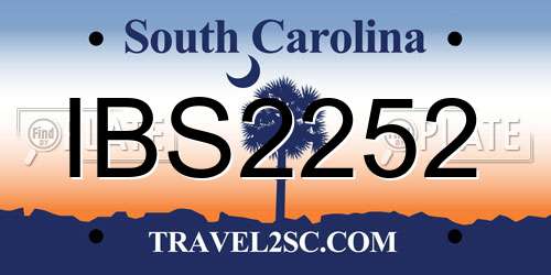 IBS2252 South Carolina License Plate