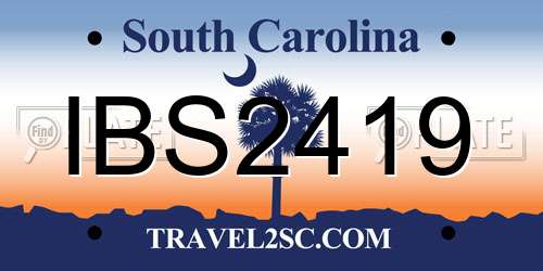 IBS2419 South Carolina License Plate