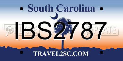 IBS2787 South Carolina License Plate