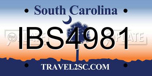 IBS4981 South Carolina License Plate